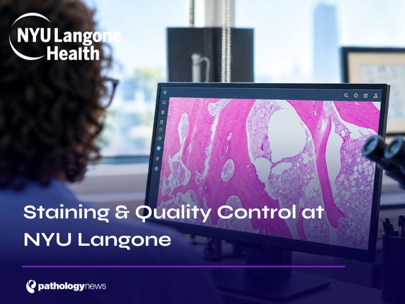 Staining & Quality Control at NYU Langone
