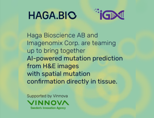 Haga Bioscience and Imagenomix announce collaboration to advance  AI-enabled spatial biomarker discovery in oncology