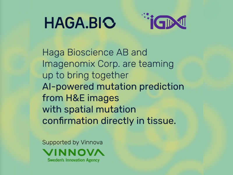 Haga Bioscience and Imagenomix announce collaboration to advance AI enabled spatial biomarker discovery in oncology