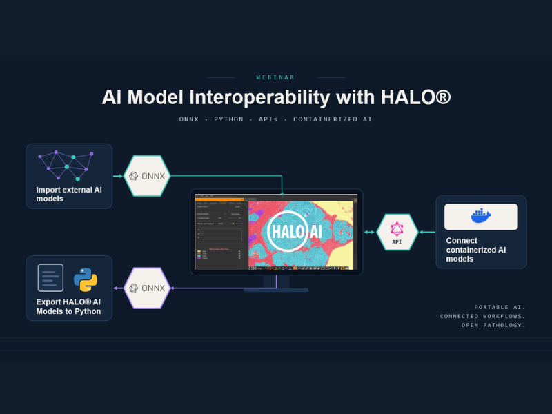 Open AI Workflows in Digital Pathology Model Interoperability with HALO®